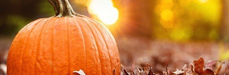 Pumpkins in leaves